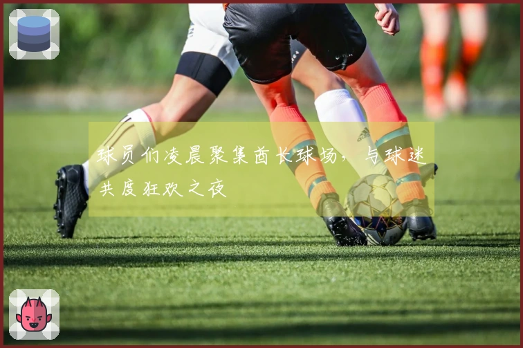 球员们凌晨聚集酋长球场，与球迷共度狂欢之夜
